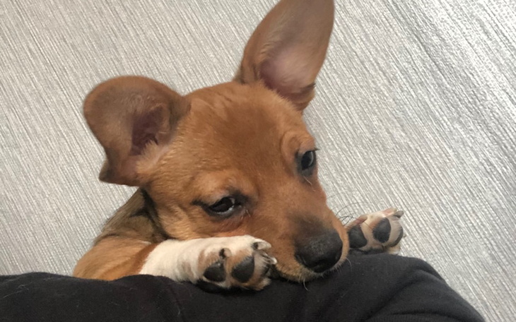 Zbiórka Mam raka pomóż mi - zdjęcie główne