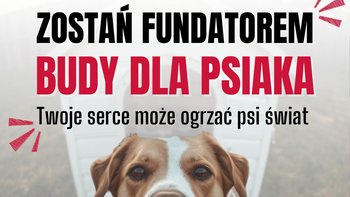 Zbiórka Zbudujmy dla nich lepsze jutro! - miniaturka zdjęcia