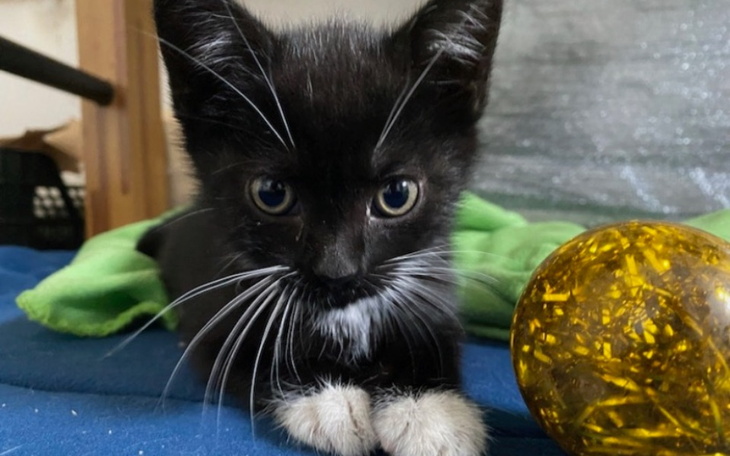 Zbiórka Żeby stanąć na nogi. Lato 2023 - zdjęcie główne