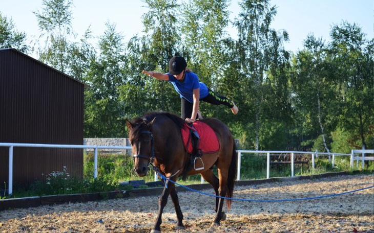 Zbiórka Koń do hipoterapii - zdjęcie główne