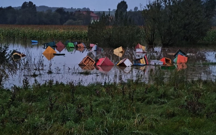 Zbiórka Na odbudowę zalanej pasieki - zdjęcie główne