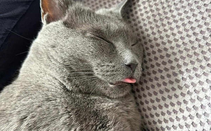 Zbiórka Na dalszą diagnostykę Brunka - zdjęcie główne