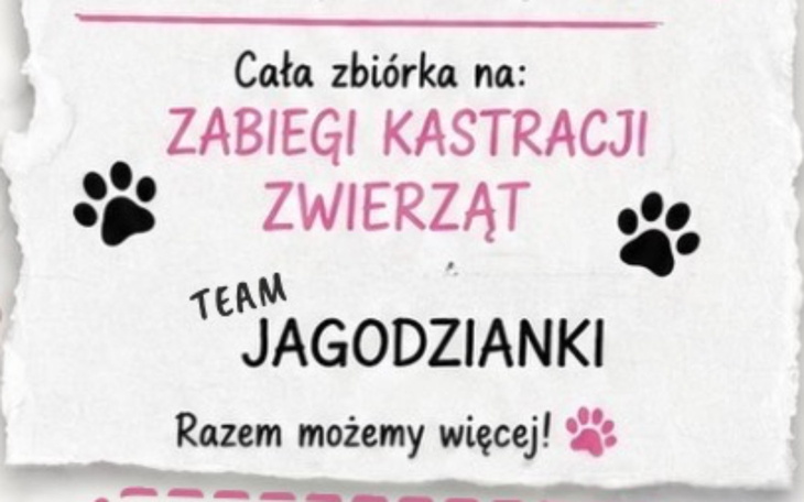 Plakat informujący o zbiórce na kastrację zwierząt.
