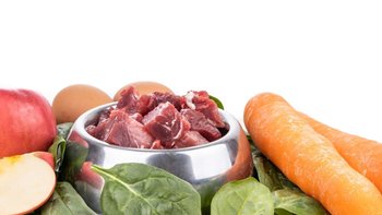 Zbiórka Podaruj posiłek dla naszych psów - miniaturka zdjęcia