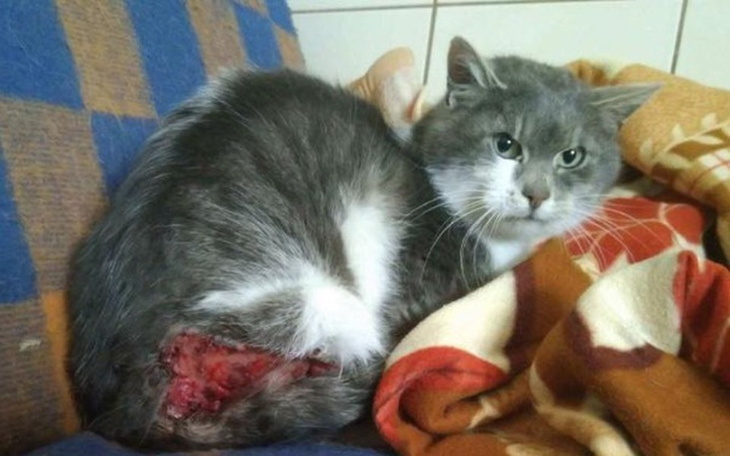 Zbiórka Leczenie Marcela - zdjęcie główne