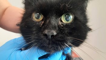 Zbiórka Biedronka 15 lat bezdomności - miniaturka zdjęcia