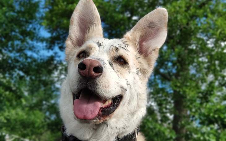 Zbiórka Urodziny Farta 2023 - zdjęcie główne