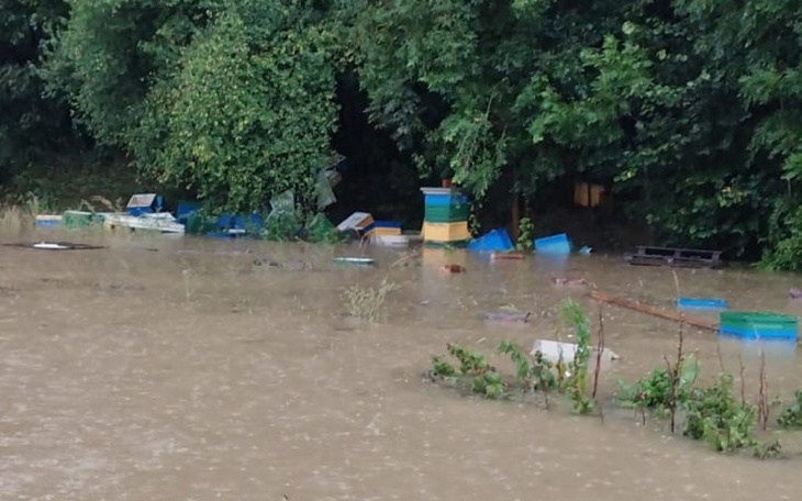 Zbiórka Odbudowa Pasieki dla Teresy - zdjęcie główne