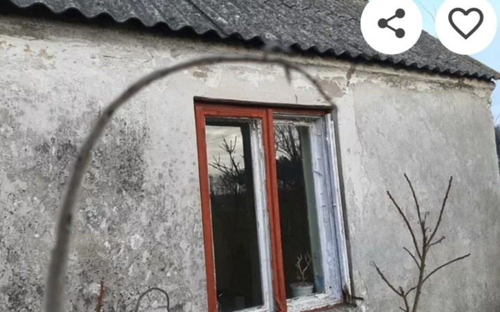 Stary dom z oknem, otoczony drzewami i krzewami.