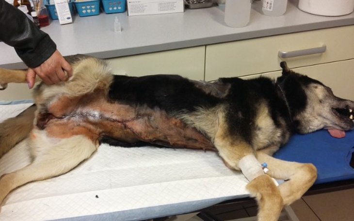 Zbiórka Cierpliwie czekała na śmierć ! - zdjęcie główne