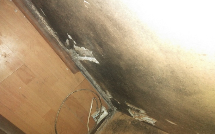 Zbiórka Pomóżcie proszę Żyć - zdjęcie główne