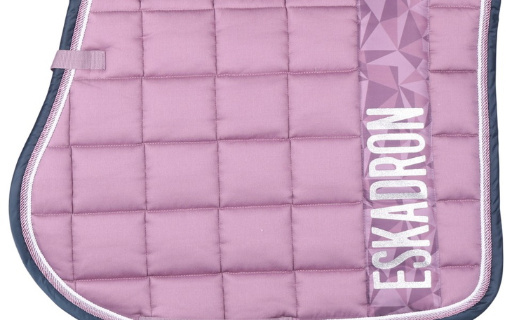 Zbiórka Na wymarzony czaprak - zdjęcie główne