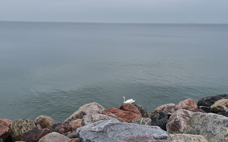 Zbiórka Zbieram na marzenie wakacyjne - zdjęcie główne