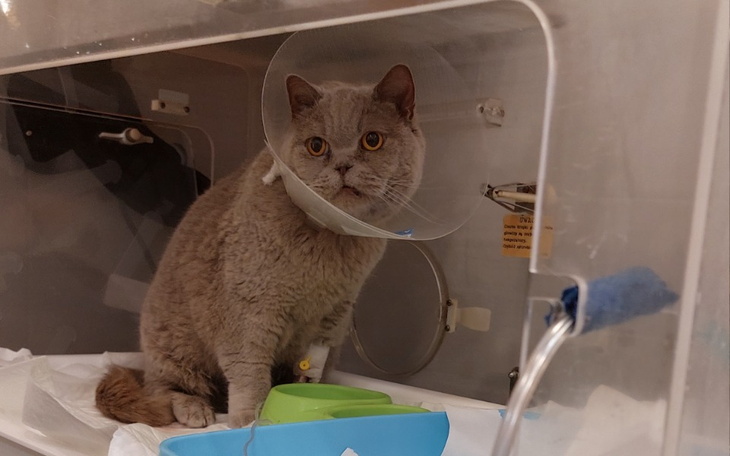 Zbiórka Na leczenie kochanego Elwinka - zdjęcie główne