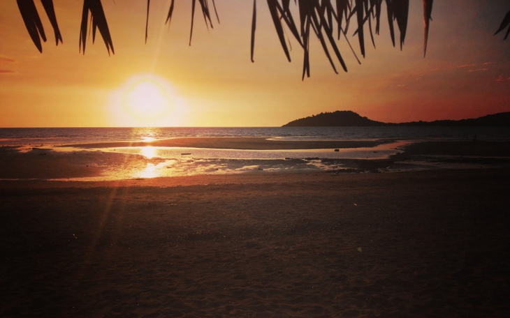 Zbiórka Renovation of the Clinic/remont - zdjęcie główne