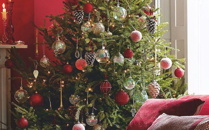 Zbiórka Pomoc w powrocie do zycia. - zdjęcie główne