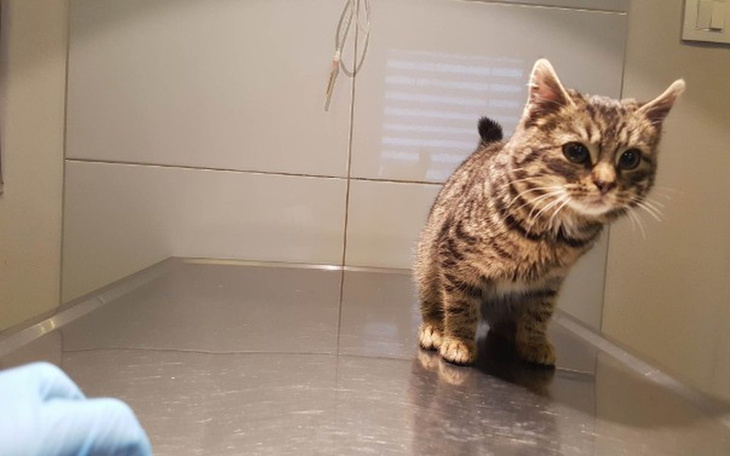 Zbiórka W worku... w rzece... - zdjęcie główne