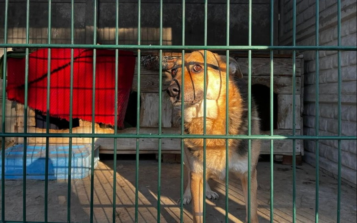 Zbiórka Diagnostyka Misi i Korala - zdjęcie główne