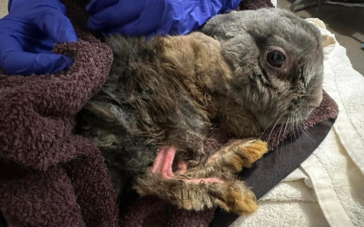 Zbiórka Ofiary wakacji w Uszakowie - zdjęcie główne