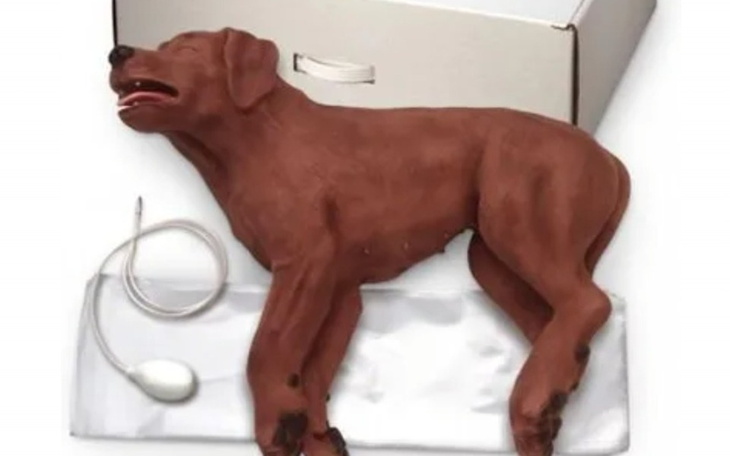 Zbiórka Fantom psa CRP - zdjęcie główne