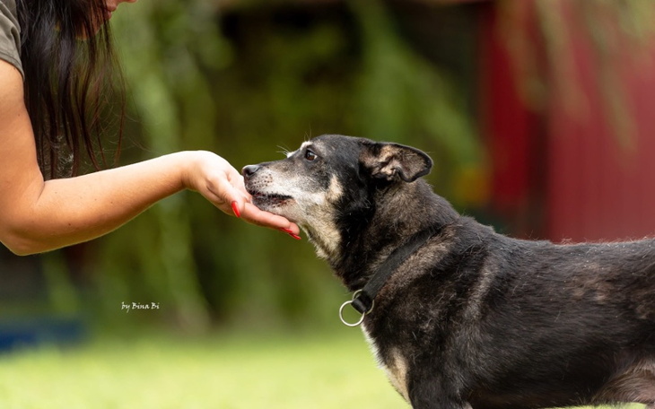 Zbiórka Zbiórka Bazarku pomocowego FNiZ - zdjęcie główne