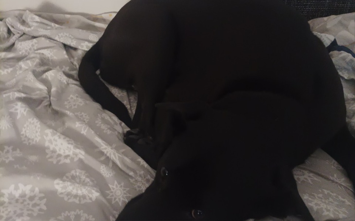 Zbiórka Elza - zdjęcie główne