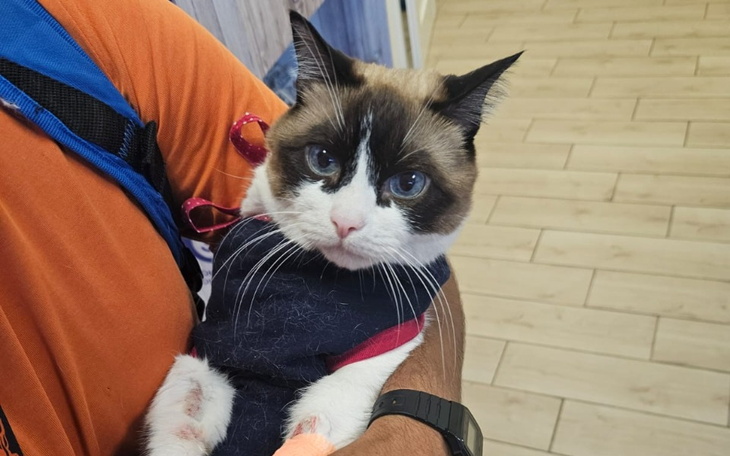 Zbiórka Operacja Kotka Kitka - zdjęcie główne