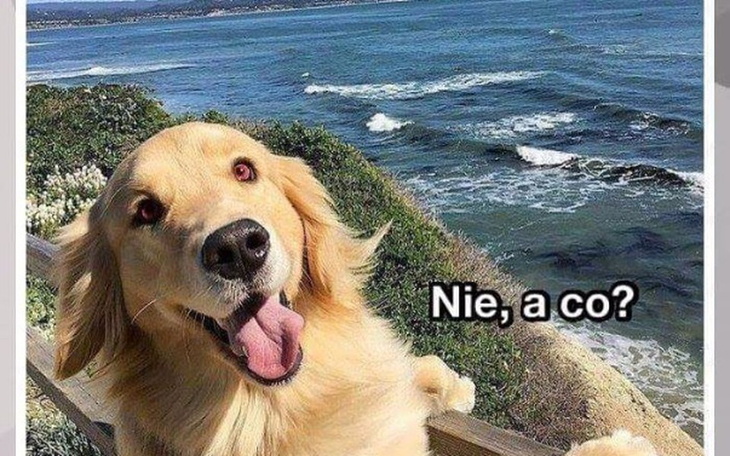 Zbiórka Rolety - zdjęcie główne