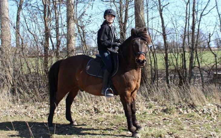 Zbiórka Lameness investigation, X-rayUSG - zdjęcie główne