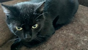 Zbiórka Dla kolejnej czarnej mamusi - miniaturka zdjęcia