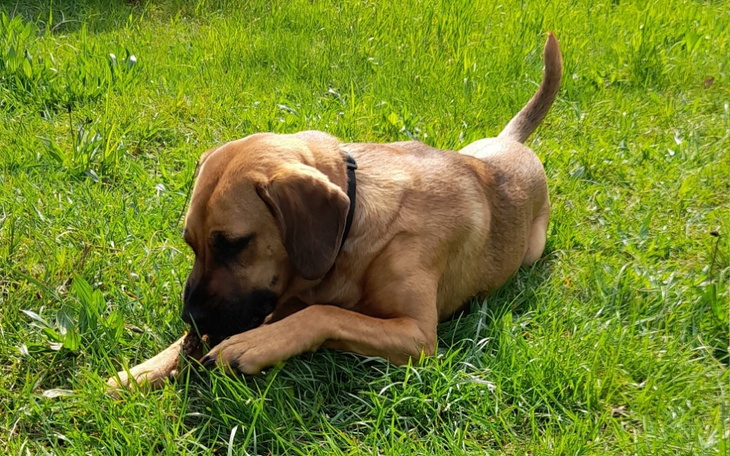 Zbiórka Wasza pomoc to dla Zoji życie - zdjęcie główne