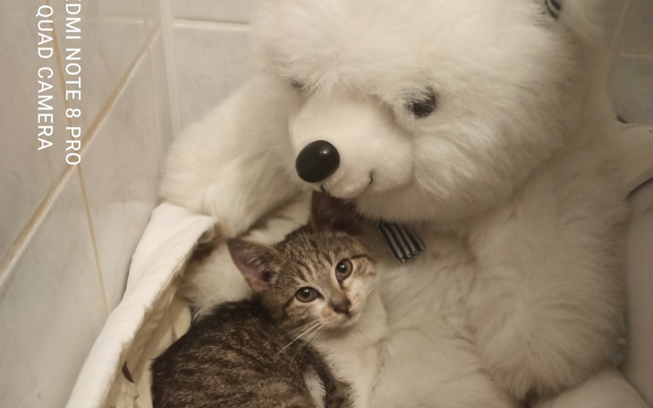 Zbiórka Nietrafione prezenty lądują na m - zdjęcie główne