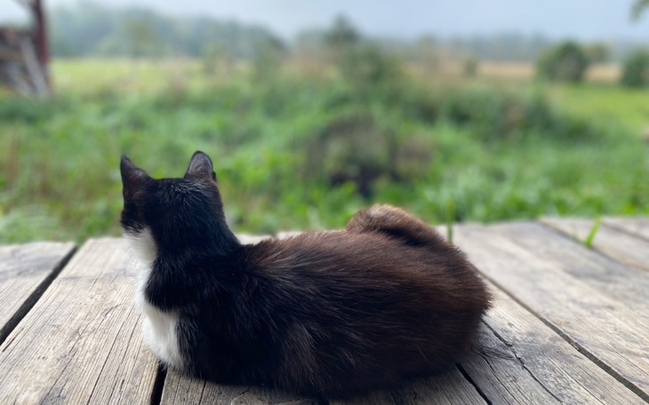 Zbiórka Na dobry start. - zdjęcie główne