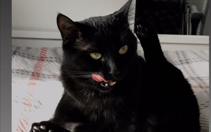 Zbiórka Pomoc choremu Leonkowi. - zdjęcie główne