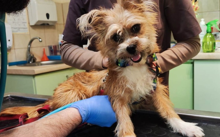 Zbiórka Zuzia- dzieciak walczy o zdrowie - zdjęcie główne