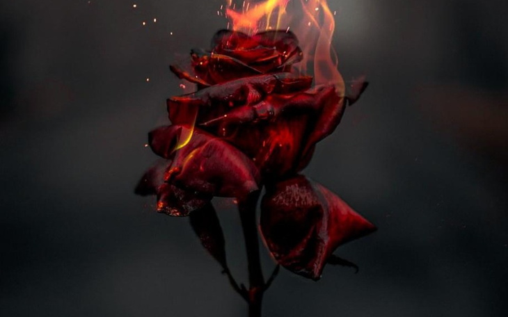 Zbiórka on the computer - zdjęcie główne