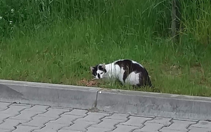 Zbiórka Bez jedzenia umrą - zdjęcie główne