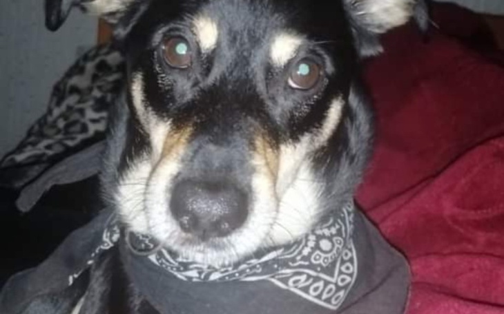 Zbiórka Na życie ,wydatki ,opłaty - zdjęcie główne