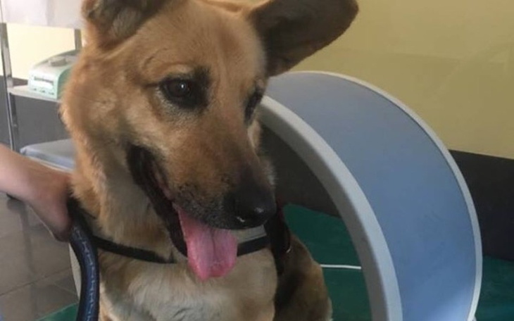 Zbiórka Operacje Zary - zdjęcie główne