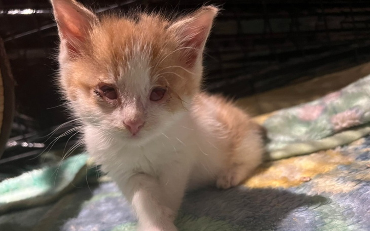 Zbiórka Opłata rachunków za leczenie - zdjęcie główne