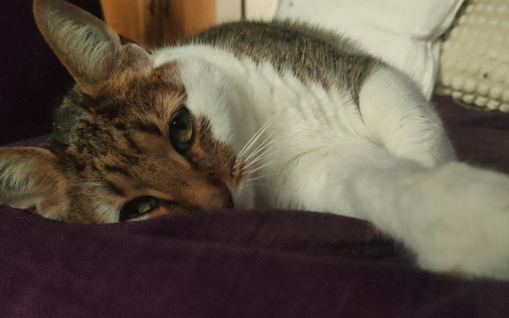 Zbiórka Operacja Aiduniuni - zdjęcie główne