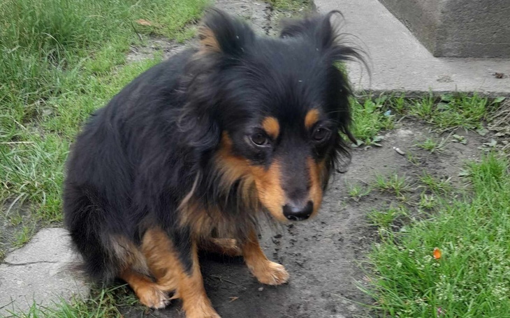 Zbiórka Wyjazd do domu tymczasowego - zdjęcie główne