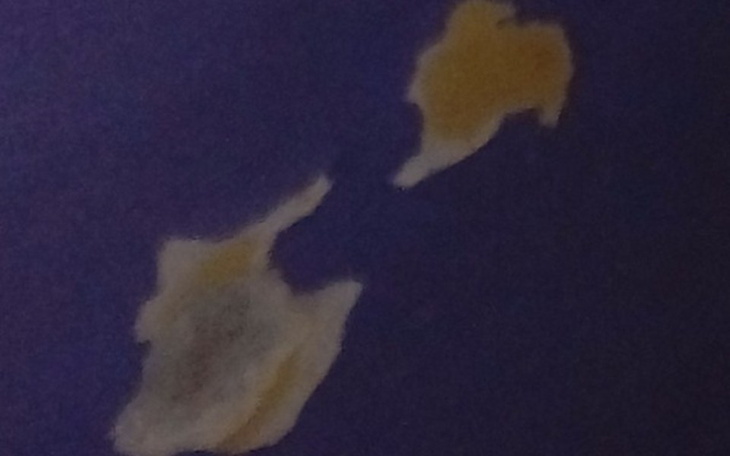 Zbiórka Remont pokoju dużego - zdjęcie główne