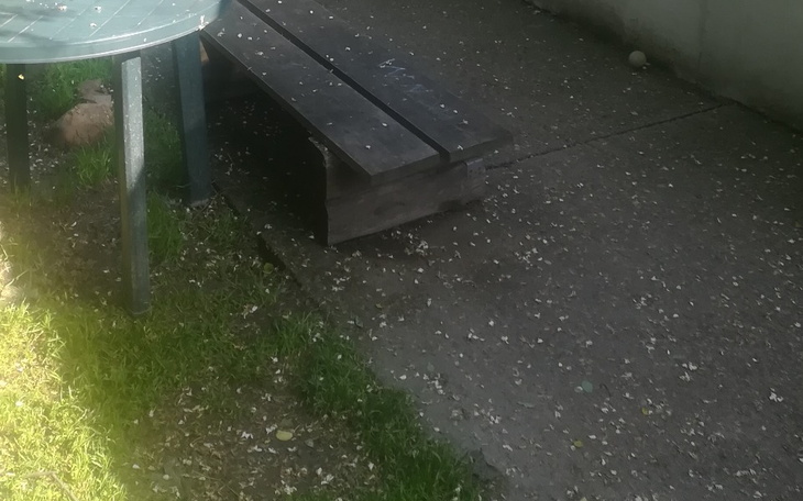 Zbiórka Ratunek dla chorej - zdjęcie główne