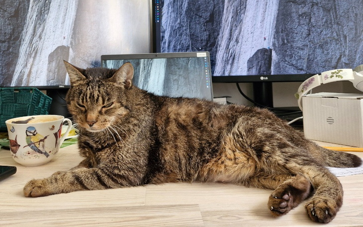 Zbiórka Nari - wsparcie w leczeniu - zdjęcie główne