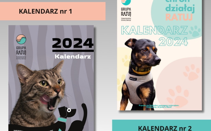 Zbiórka Charytatywne kalendarze 2024 - zdjęcie główne