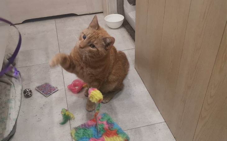 Zbiórka Jackuś chce żyć - zdjęcie główne