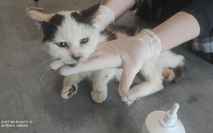 Zbiórka Umierały z głodu - zdjęcie główne