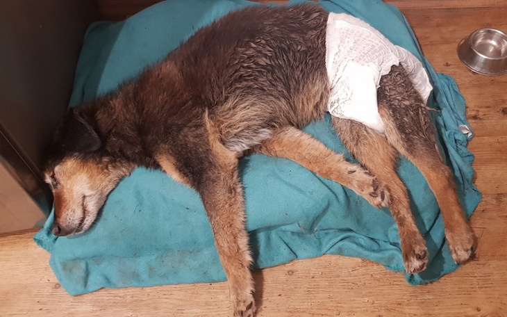 Zbiórka Stary Wojtuś z rowu... - zdjęcie główne