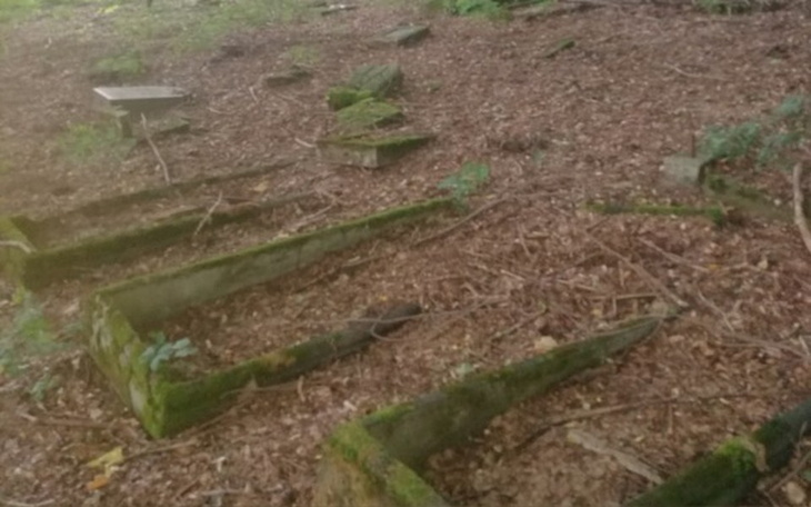 Zbiórka Renowacja zapomnianego cmentarzu - zdjęcie główne